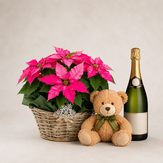 Julekurv med Julestjerne, Bamse & Mousserende Gave | Jule Plantelevering