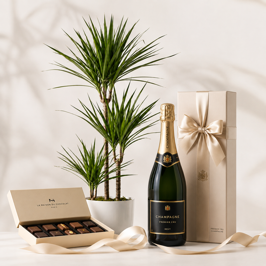 Grøn plante med mousserende gave | Elegant plantegave