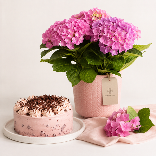 Lyserød hortensia med flødekage | Blomster & kage levering