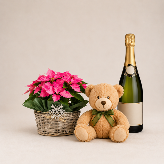 Julekurv med Julestjerne, Bamse & Mousserende Gave | Jule Plantelevering